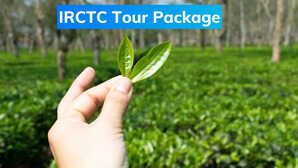 IRCTC Tour Package घूम आएं नॉर्थ ईस्ट दार्जिलिंग और गंगटोक की करें सैर सिर्फ इतना होगा खर्चा