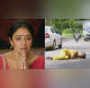 Anupamaa 7 Maha Twist गौतम के कारण बच्चे से हाथ धोएगी प्रार्थना अहमदाबाद से फिर जुड़ेंगे अनुपमा के तार