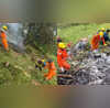 Uttarakhand helicopter crash घाटी के दुर्गम इलाकों में नहीं है adc और imd के सर्वर उत्तराखंड के सरकारी अधिकारी ने कही यह बात