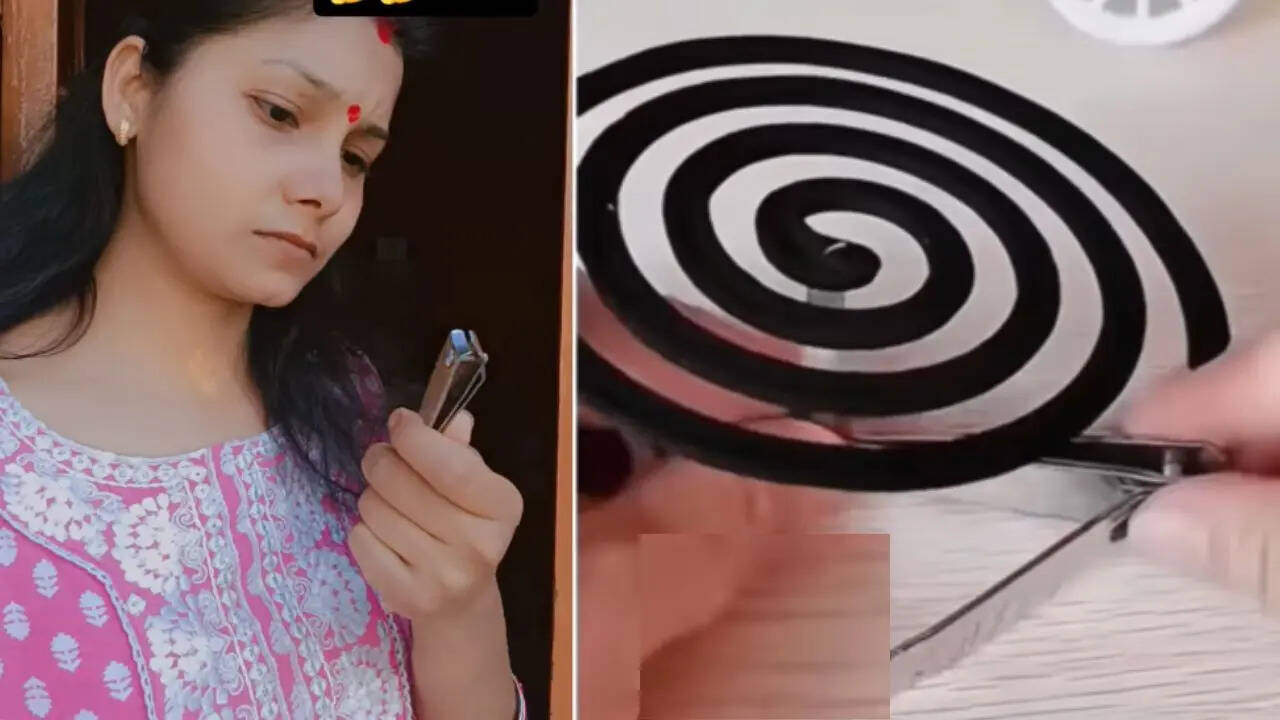 nail cutter