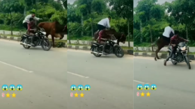 Viral Video Today चलती बाइक से सांड पर शख्स ने लगा दी छलांग फिर जो हुआ उसने माहौल बदल दिया