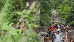 Kedarnath Landslide केदारनाथ मार्ग पर फिर हुआ लैंडस्लाइड मलबे की चपेट में आने से 2 श्रद्धालुओं की मौत कई घायल
