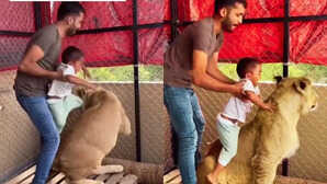 पिता है या जल्लाद बच्चे को जबरदस्ती शेरनी संग पोज करवाता दिखा शख्स जारा देख दंग रह जाएंगे
