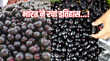 Jamun Export कर्नाटक का जामुन पहुंचा लंदन भारत से पहली ताजा खेप ने रचा इतिहास