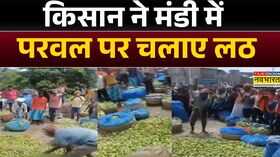 Bihar News परवल पर किसान का गुस्सा क्यों उतरा Bhagalpur Latest Hindi News Top News