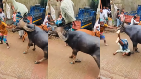 Viral Video Today भैंस ने शख्स को हवा में उठाकर ऐसे पटका देखकर सांसें हलक में अटक जाएगी