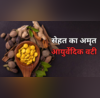मोटापे से पाचन और त्वचा की हर परेशानी का देसी इलाज है ये आुयर्वेदिक वटी गंभीर बीमारियों को हमेशा रखेगी दूर