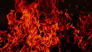 Lucknow Fire टेढ़ी पुलिया के पास 16 दुकानों में लगी आग फायर ब्रिगेड ने दो घंटे में पाया काबू