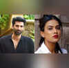 Nia Sharma ने मुंह पर ठुकरा दिया आदित्य रॉय कपूर संग जोड़ी बनाने का ऑफर बोलीं- हैंडसम का क्या अचार डालूं