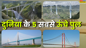 ये हैं दुनिया के 5 सबसे ऊंचे पुल इनकी इंजीनियरिंग और ऊंचाई देख हैरान हो जाते हैं लोग