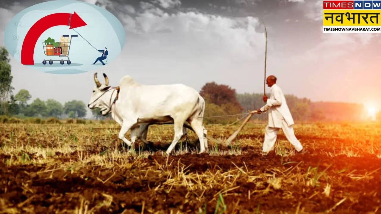 Retail inflation fell for farm-rural workers