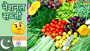 हर बच्चा-बड़ा थाली चाटकर खाता है पाकिस्तान की राष्ट्रीय सब्जी भारत की नेशनल वेजिटेबल का नाम भी नहीं होगा पता