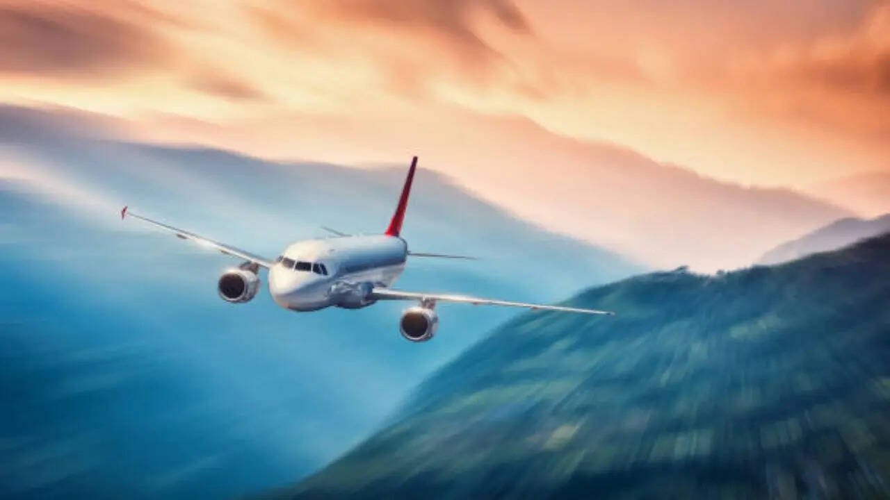 flight