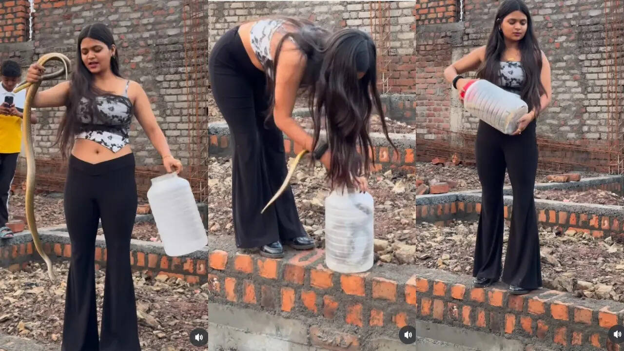 Viral Video