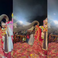 Viral Video Today हाथी ने अनोखे अंदाज में दूल्हा-दुल्हन को पहनाया वरमाला नजारे देख हर कोई रह गया चकित