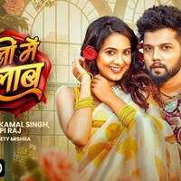 Baalon Mein Gulab Song नीलकमल सिंह और स्वीटी मिश्रा के गाने ने उड़ाया गर्दा वीडियो हुआ वायरल