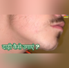 भरी जवानी में भी दाढ़ी पर नहीं आते बाल काली-घनी बीयर्ड के लिए लड़के ट्राई कर लें ये वाले नुस्खे