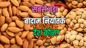 सबसे अधिक बादाम निर्यात करने वाल टॉप 5 देश पहले स्थान पर कौन