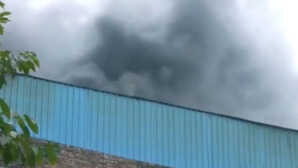 Delhi Fire रिठाला मेट्रो स्टेशन के पास फैक्ट्री में लगी आग 3 लोगों की मौत