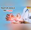 किडनी की सफाई में रामबाण हैं ये खाने की चीजें नेचुरली साफ करते हैं गुर्दे में जमा गंदगी