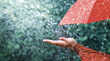 Delhi Monsoon दिल्ली में क्यों नहीं हो रही मानसून की एंट्री IMD ने बताई वजह जानें कब बरसेंगी राहत की बूंदें