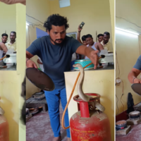 Today Viral Video गैस सिलेंडर पर कुंडली मारकर बैठा था जहरीला सांप जिगर वाले ही देखें आगे का नजारा