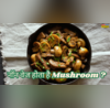 उंगलियां चाटकर शाकाहारी लोग खाते हैं मशरूम वेज है या नॉन वेज सच्चाई जान हिल जाएगा दिमाग