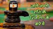 12 ज्योतिर्लिंगों का क्या है राशियों के साथ कनेक्शन किस राशि को करने चाहिए कौन से ज्योतिर्लिंग के दर्शन