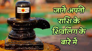 12 ज्योतिर्लिंगों का क्या है राशियों के साथ कनेक्शन किस राशि को करने चाहिए कौन से ज्योतिर्लिंग के दर्शन