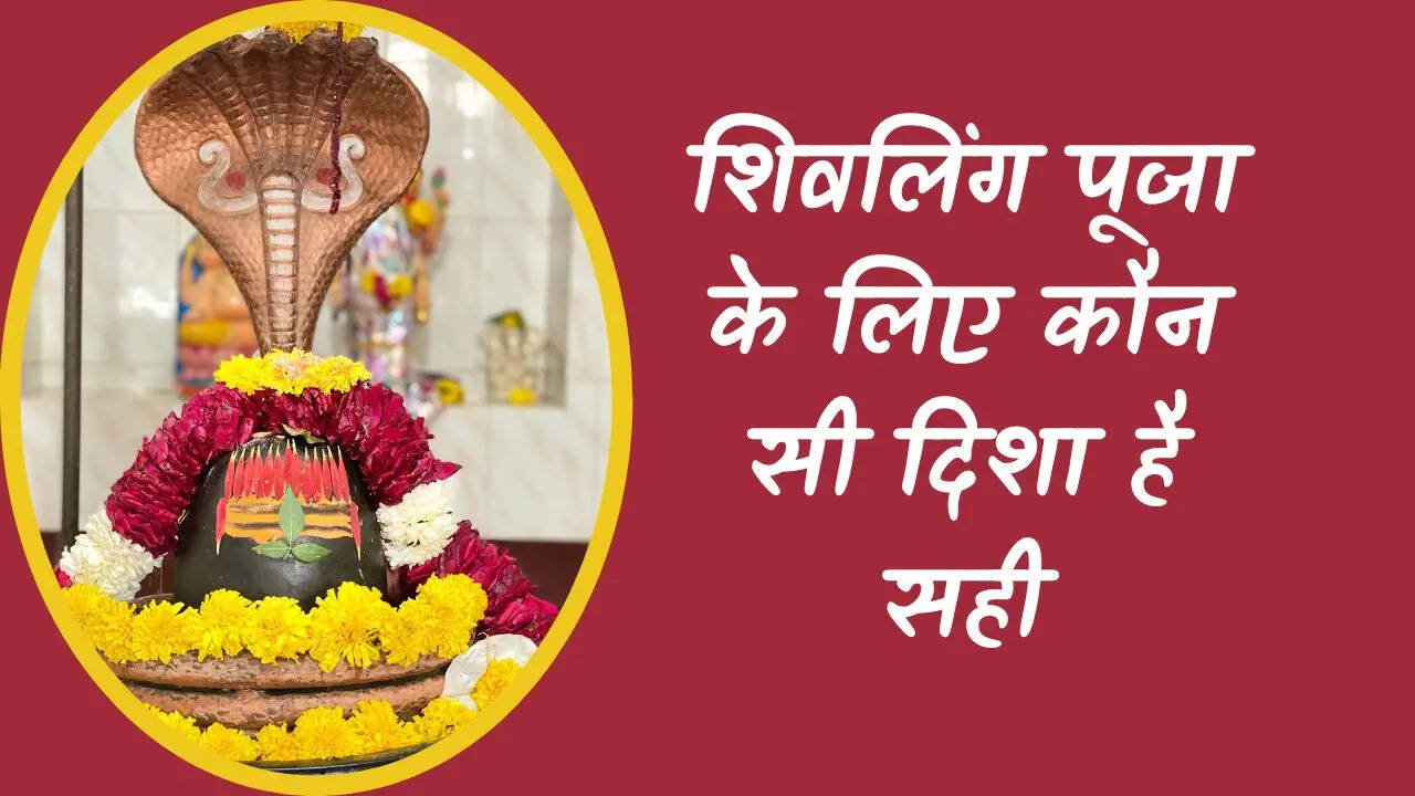 Shivling Pooja Disha, Foto de Shivaling, Shivaling Pooja Rule