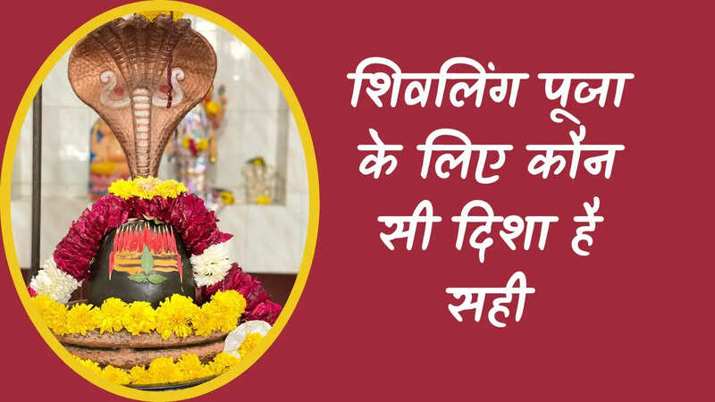 shivling puja disha, shivling photo, shivling puja rule
