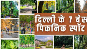 मानसून में पिकनिक के लिए बेस्ट हैं दिल्ली के ये स्पॉट फ्रेंड्स और फैमिली के साथ बिता सकते हैं क्वालिटी टाइम