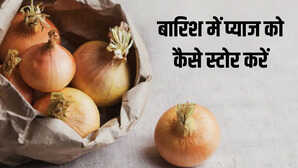 अब महीनों तक खराब नहीं होंगे प्याज बस अपनाकर देखें 100 साल पुराना देसी नुस्खा
