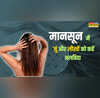 बरसात में जूं-लीखें ना बनें सिर का बोझ राहत के लिए आजमाएं ये आसान घरेलू तरीके