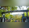 भारत में डायबिटीज से जूझ रहे 93 लोग बीमारी को लेकर नहीं गंभीर ICMR की रिपोर्ट में कई चौंकाने वाले खुलासे