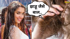 Hair Mask For Frizzy Hair बारिश में भीगकर झाड़ू जैसे हो गए हैं बाल फ्रिजी हेयर्स में लगाएं ये देसी हेयर मास्क