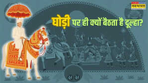 दूल्हा घोड़ी पर ही क्यों बैठता है कैसे यह रिवाज बना भारतीय शादी की अनूठी परंपरा