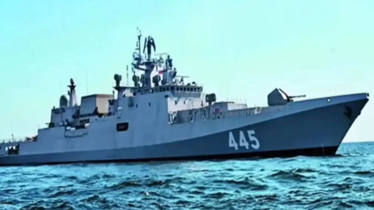 Marina india Warman Tamal