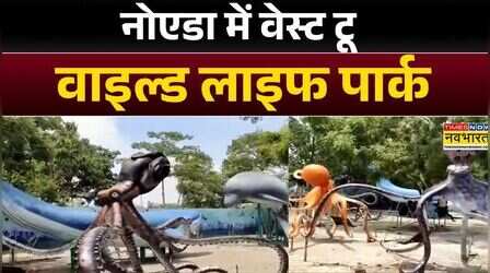 UP News: जंगल नाइट सफारी का मजा लीजिए! | Noida | Waste To Wildlife Park | Hindi News