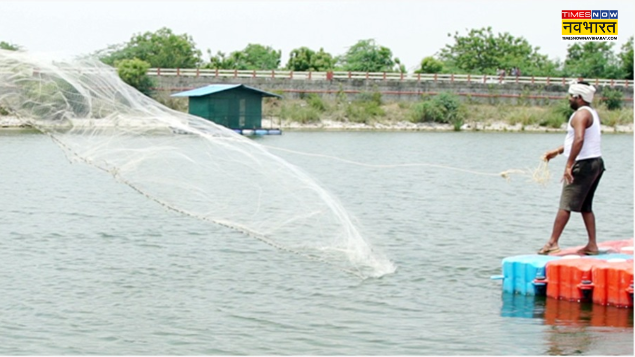 Pesquería indígena de bihar