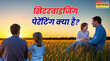 सिटरवाइजिंग पेरेंटिंग क्या है क्यों बढ़ रहा Parenting के नए तरीके का क्रेज जान लें इसके फायदे