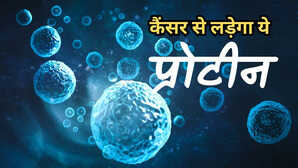 न्यू रिसर्च वैज्ञानिकों ने खोज निकाला एक ऐसा प्रोटीन जो शरीर में लड़ेगा कैंसर से