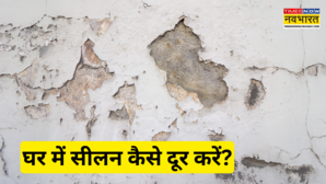 Monsoon Home Care Tips बरसात में लग लगा है सीलन बदबू और फंगस कर रहे हैं परेशान तो आजमाएं ये 4 आसान उपाय