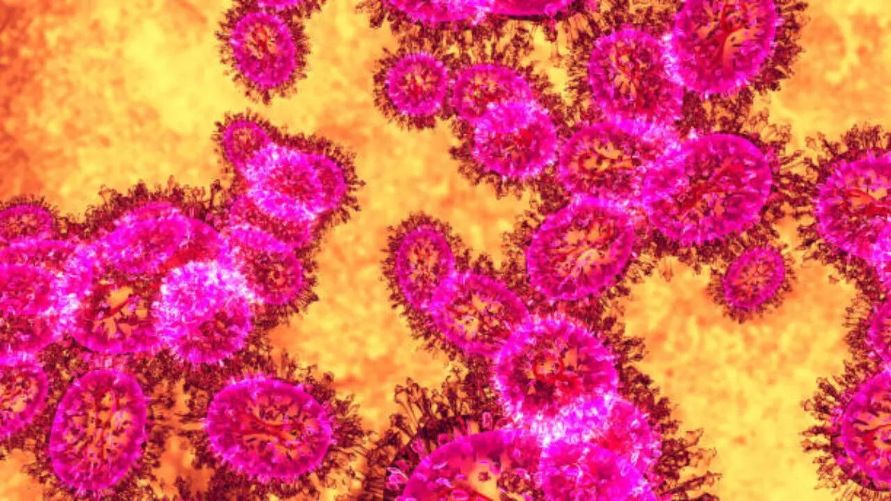 Virus Nipah