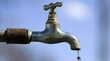 Bhopal Water Issues राजधानी के कई इलाकों में गंदे-बदबूदार पानी की सप्लाई पार्षद ने मेयर को लिखी चिट्ठी