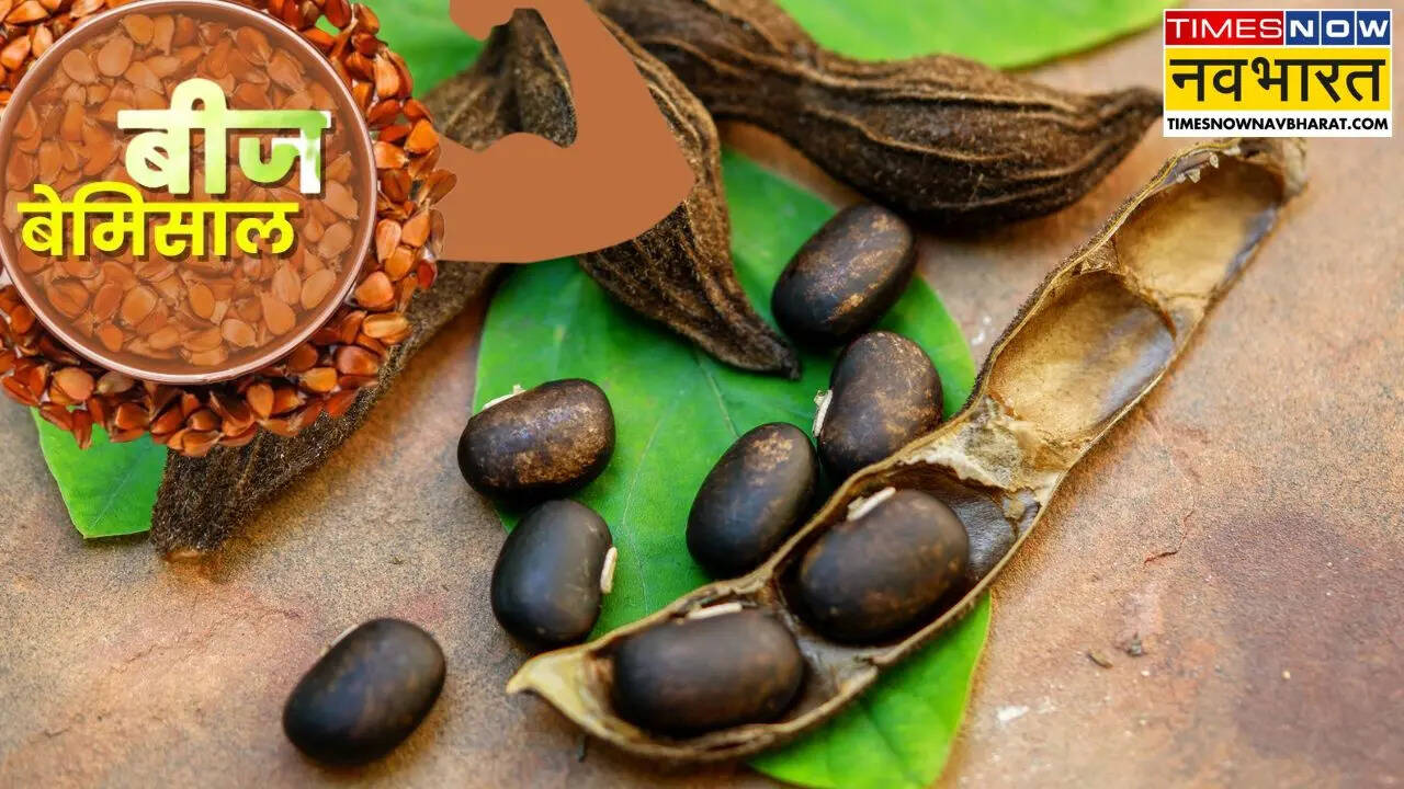 Beneficios de Velvet Beans, Och Beez, Semillas del Consejo