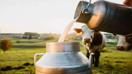 Lucknow News: लखनऊ में दूधिया की घिनौनी हरकत, दूध में थूकते पकड़ा गया आरोपी; गिरफ्तार