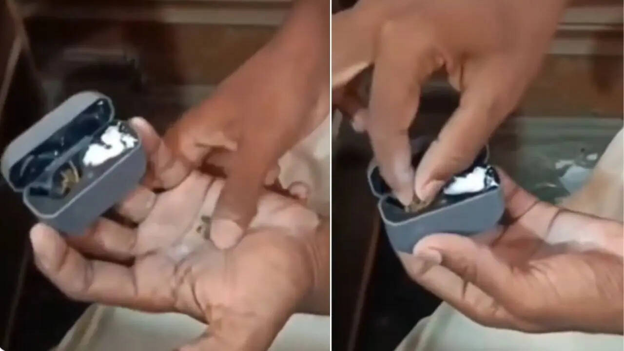 Viral Video (6)