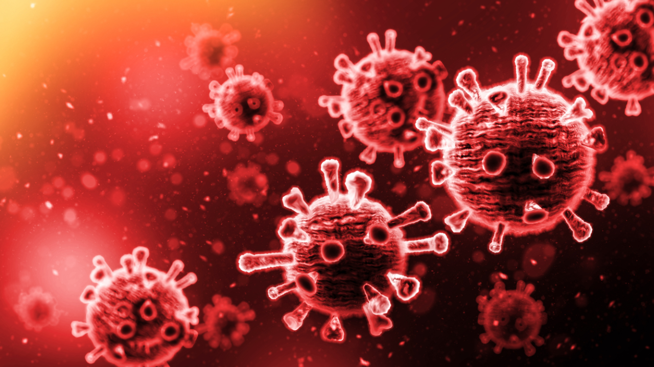 nipah virus in Kerala (फोटो - Canva)