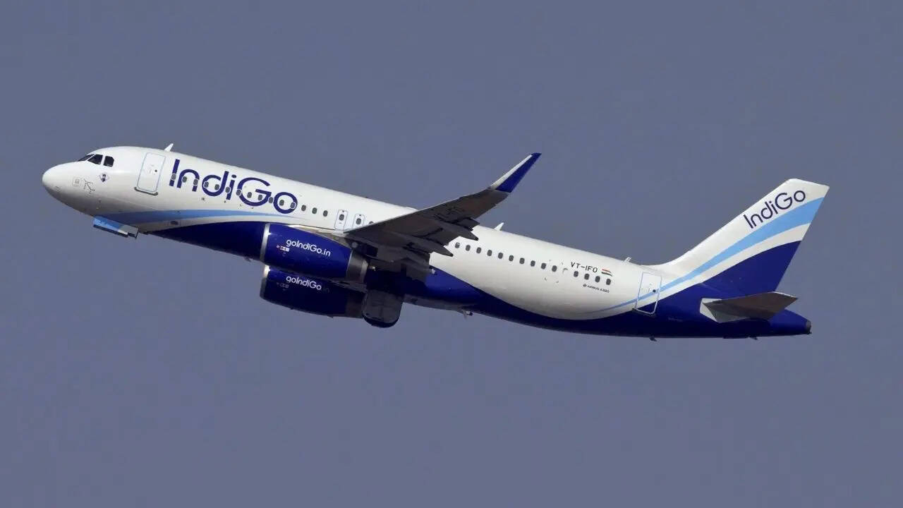 Volo indaco